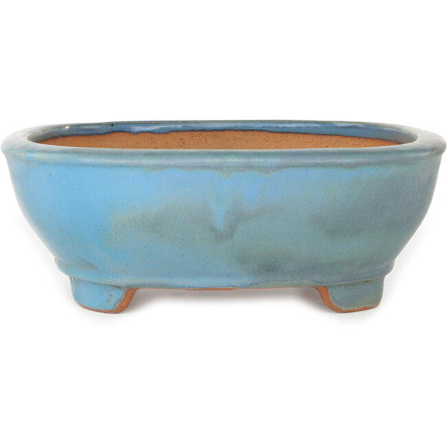 Vaso bonsai ovale blu di Gyouzan - 405 x 333 x 115 mm