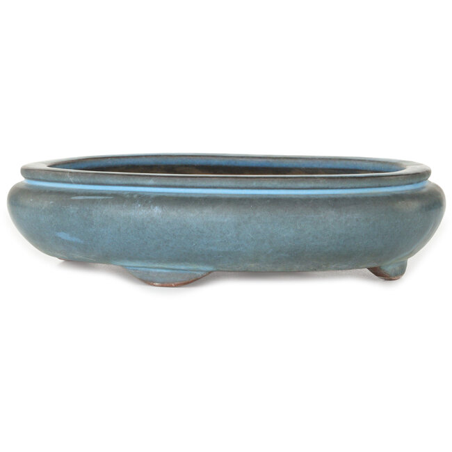 Vaso bonsai ovale blu di Tosho - 310 x 260 x 75 mm