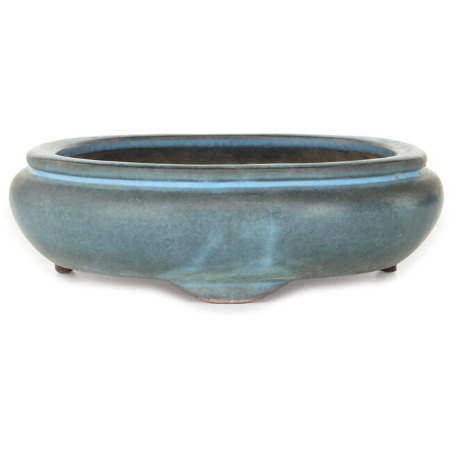 Maceta ovalada azul para bonsái de Tosho - 310 x 260 x 75 mm