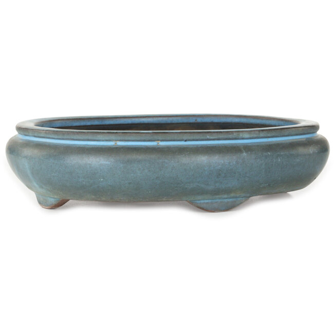 Vaso bonsai ovale blu di Tosho - 310 x 260 x 75 mm