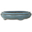 Oval blue bonsai pot by Tosho - 310 x 260 x 75 mm