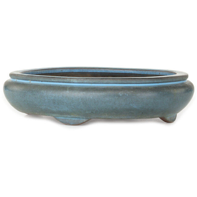 Maceta ovalada azul para bonsái de Tosho - 310 x 260 x 75 mm