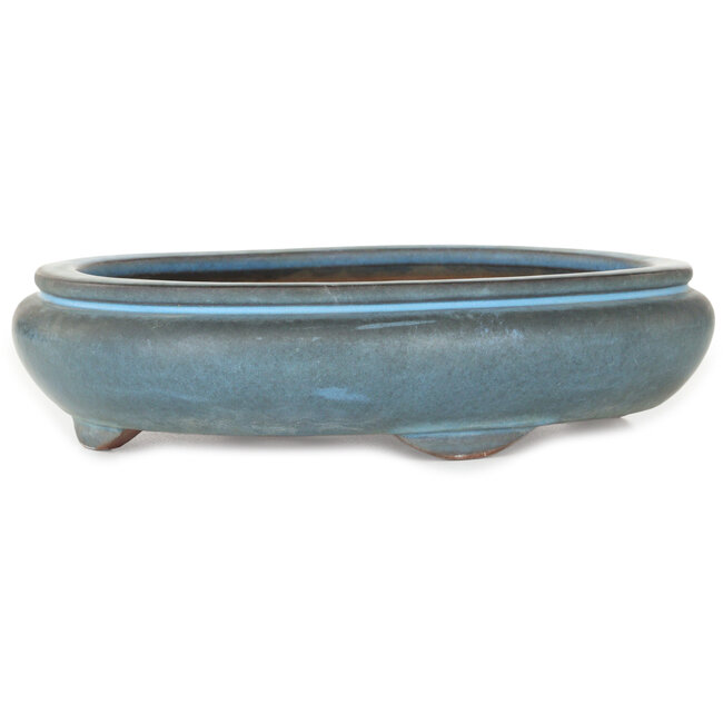 Vaso bonsai ovale blu di Tosho - 310 x 260 x 75 mm