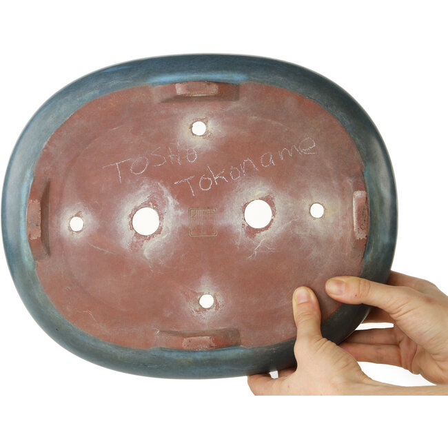 Pot à bonsaï ovale bleu de Tosho - 310 x 260 x 75 mm