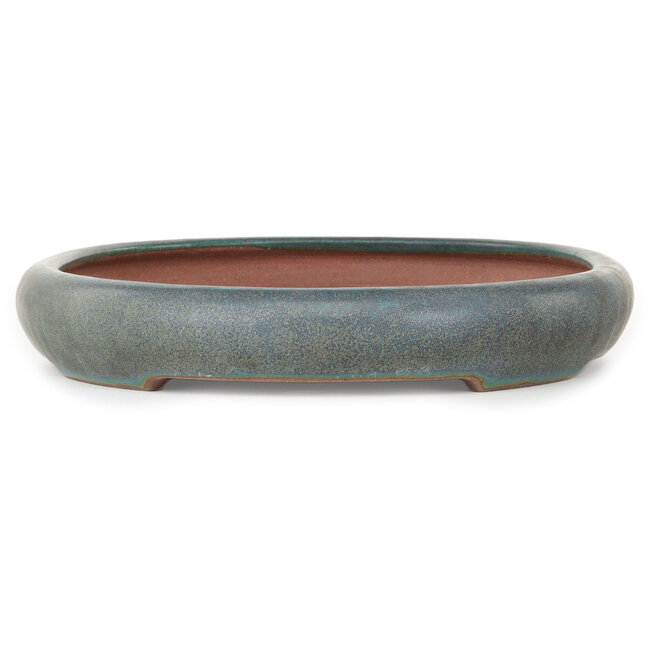 Maceta ovalada azul para bonsái de Reiho - 415 x 295 x 45 mm