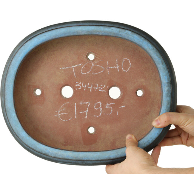 Oval blue bonsai pot by Tosho - 310 x 260 x 75 mm