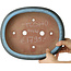Oval blue bonsai pot by Tosho - 310 x 260 x 75 mm