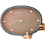 Ovale blauwe bonsaipot van Reiho - 415 x 295 x 45 mm