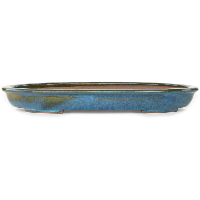 Oval blue bonsai pot by Reiho - 455 x 330 x 53 mm