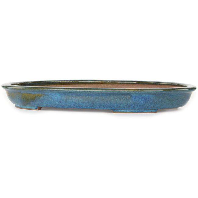 Maceta ovalada azul para bonsái de Reiho - 455 x 330 x 53 mm