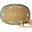 Oval green bonsai pot by Yamafusa - 465 x 320 x 58 mm