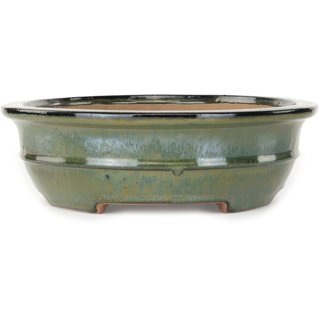 Pot à bonsaï ovale vert de Reiho - 380 x 295 x 93 mm
