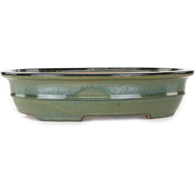 Maceta ovalada verde para bonsái de Reiho - 380 x 295 x 93 mm