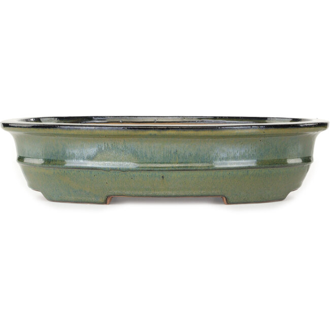 Pot à bonsaï ovale vert de Reiho - 380 x 295 x 93 mm