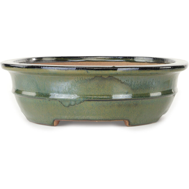 Maceta ovalada verde para bonsái de Reiho - 380 x 295 x 93 mm