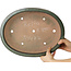 Pot à bonsaï ovale vert de Reiho - 380 x 295 x 93 mm