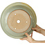 Pot à bonsaï rond beige à jaune de Koyou - 345 x 345 x 135 mm