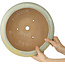 Round beige to yellow bonsai pot by Koyou - 345 x 345 x 135 mm