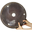 Ronde ongeglazuurde bonsaipot - 395 x 395 x 95 mm