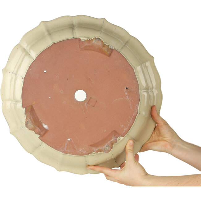 Lotusbeiger Bonsaitopf - 440 x 440 x 135 mm