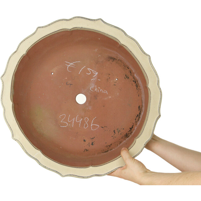 Maceta para bonsái Lotus beige - 440 x 440 x 135 mm