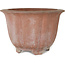 Pot à bonsaï Lotus non émaillé - 310 x 310 x 205 mm