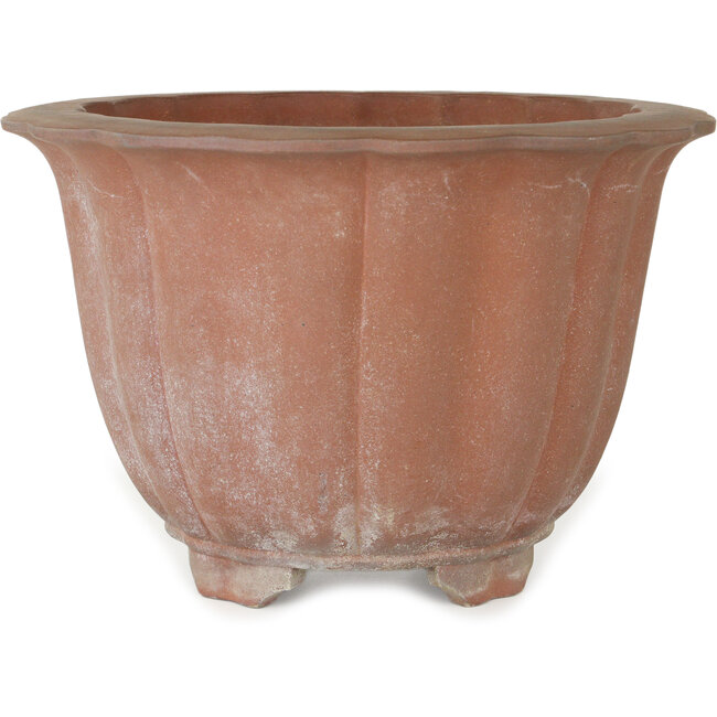 Pot à bonsaï Lotus non émaillé - 310 x 310 x 205 mm