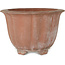 Pot à bonsaï Lotus non émaillé - 310 x 310 x 205 mm