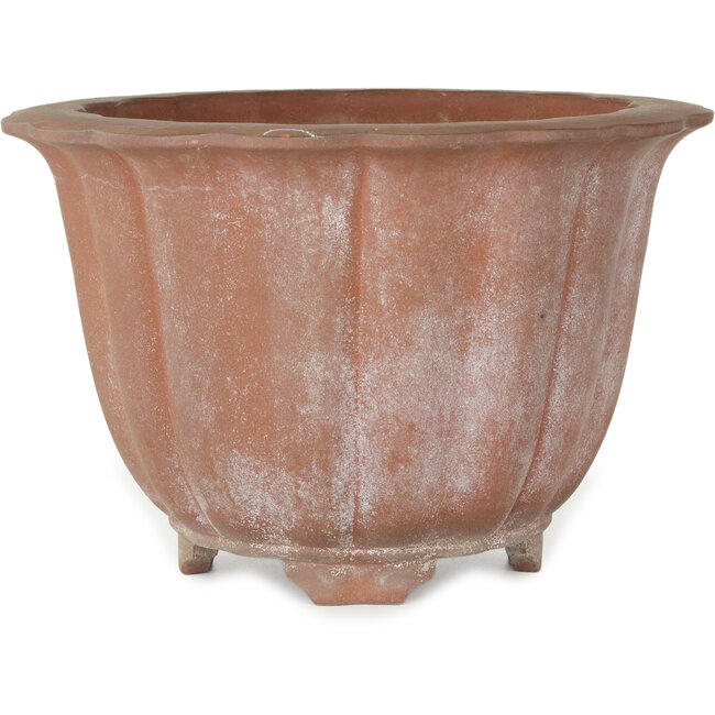 Maceta de bonsái sin esmaltar de loto - 310 x 310 x 205 mm