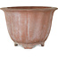 Pot à bonsaï Lotus non émaillé - 310 x 310 x 205 mm