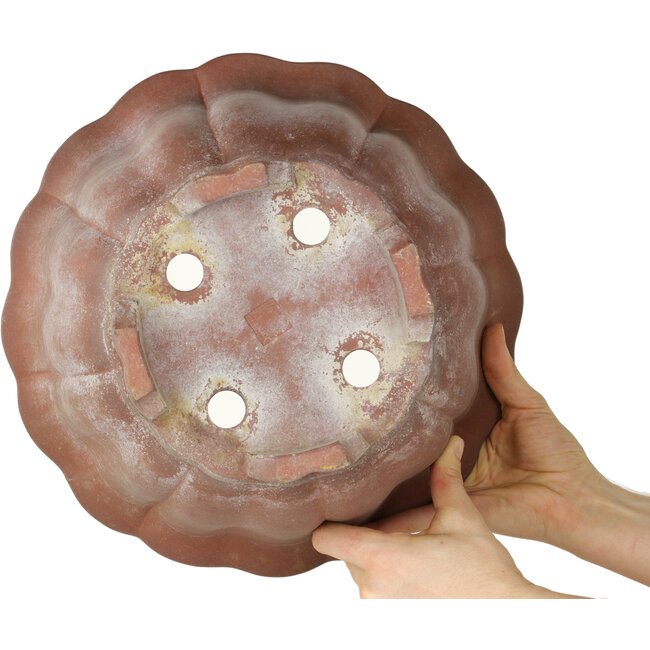 Vaso per bonsai Lotus non smaltato - 310 x 310 x 205 mm