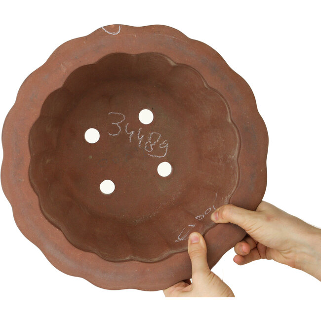 Maceta de bonsái sin esmaltar de loto - 310 x 310 x 205 mm