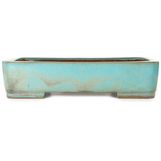 Kakuzan Maceta rectangular de bonsái turquesa de 470 mm de Kakuzan, Tokoname, Japón  Kakuzan Maceta rectangular de bonsái turquesa de 470 mm de Kakuzan, Tokoname, Japón