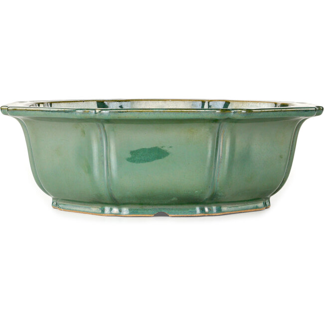 Lotus groene bonsai pot - 355 x 355 x 110 mm