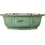 Lotus groene bonsai pot - 355 x 355 x 110 mm
