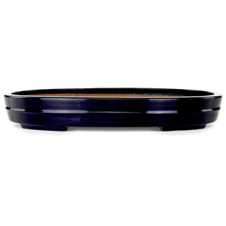  Yamafusa - Takehiko Koie 403 mm oval dark blue bonsai pot by Yamafusa, Tokoname, Japan
