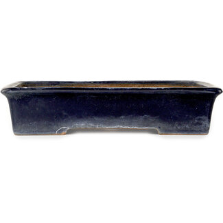  Yamafusa - Takehiko Koie Maceta rectangular de bonsái azul oscuro de 345 mm de Yamafusa, Tokoname, Japón