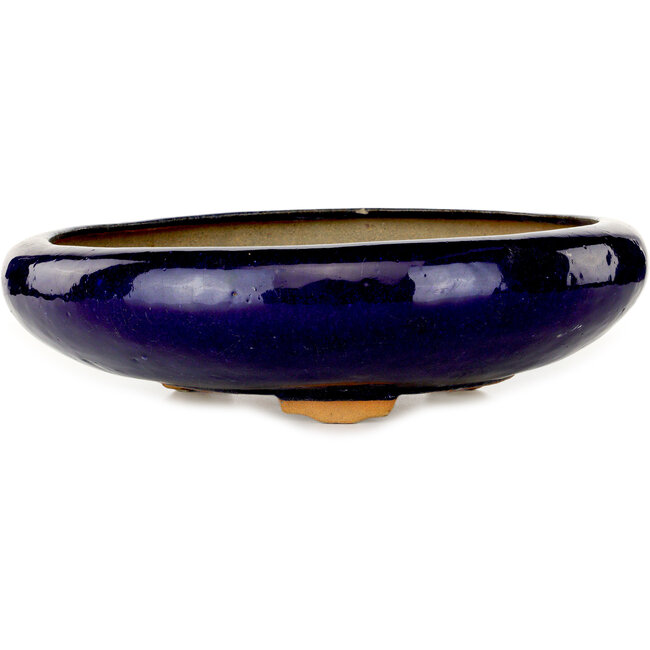 Pot à bonsaï rond bleu foncé - 410 x 410 x 105 mm