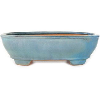 Gyouzan - Yukizyou Nakano & Yuuji Nakano 405 mm oval blue bonsai pot by Gyouzan, Tokoname, Japan