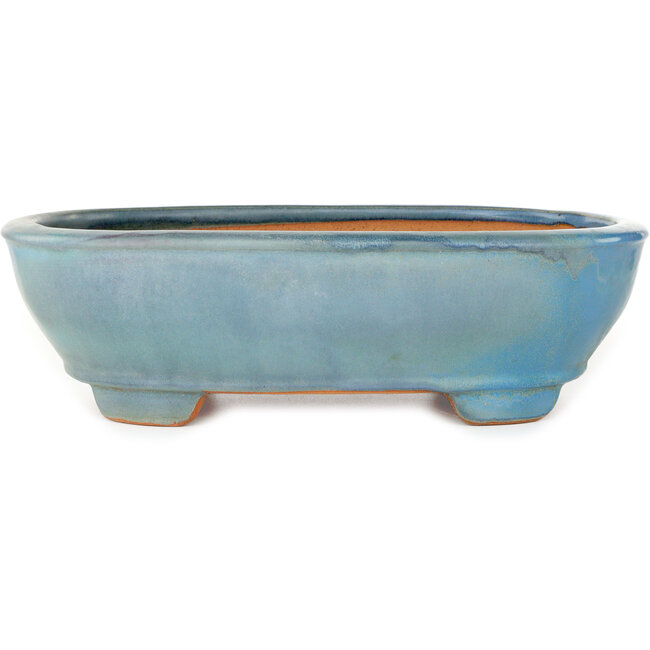 Oval blue bonsai pot by Gyouzan - 405 x 333 x 115 mm
