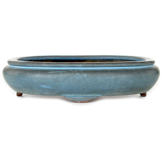 Oval blue bonsai pot by Tosho - 310 x 260 x 75 mm