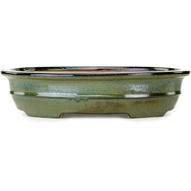 Ovale groene bonsaipot van Reiho - 380 x 295 x 93 mm