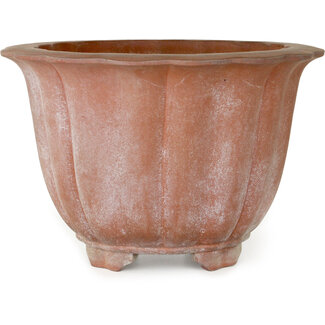 310 mm lotus ongeglazuurde pot uit Japan