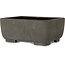 Pot à bonsaï rectangulaire non émaillé - 250 x 190 x 105 mm