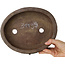 Ovale ongeglazuurde bonsaipot van Tani Ranzan - 235 x 195 x 60 mm