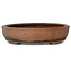 Ovaler unglasierter Bonsai-Topf von Nakawatari - 415 x 333 x 75 mm