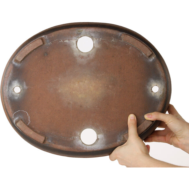Maceta ovalada sin esmaltar para bonsái de Nakawatari - 415 x 333 x 75 mm
