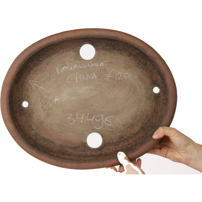Maceta ovalada sin esmaltar para bonsái de Nakawatari - 415 x 333 x 75 mm