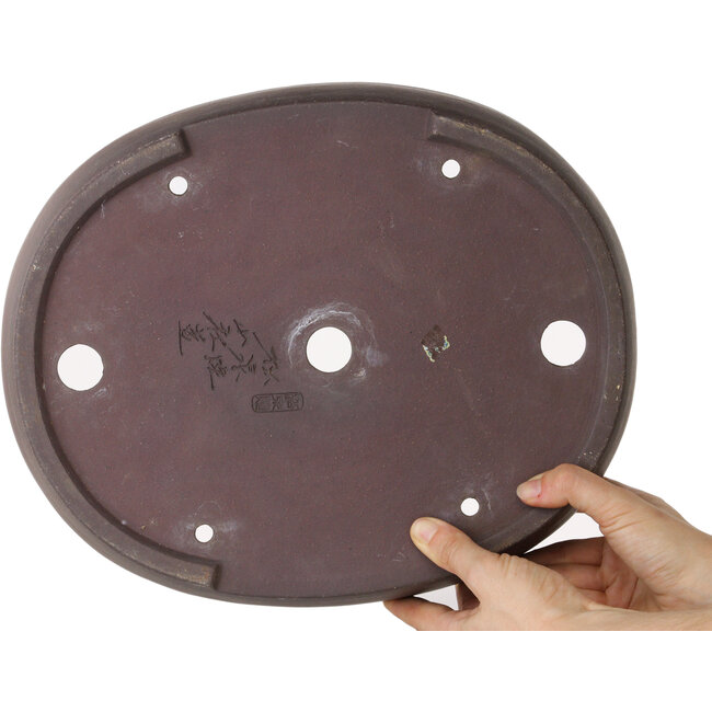 Maceta ovalada sin esmaltar para bonsái de Yamaaki - 337 x 280 x 70 mm