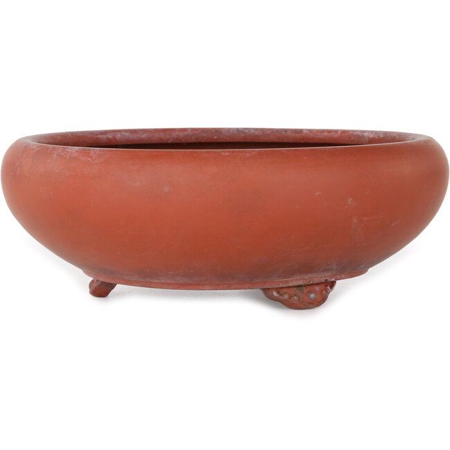 Vaso bonsai rotondo non smaltato - 210 x 210 x 73 mm